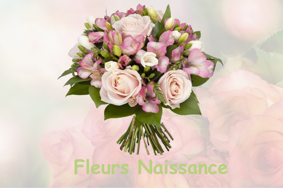 fleurs naissance LE-CHAFFAUT-SAINT-JURSON